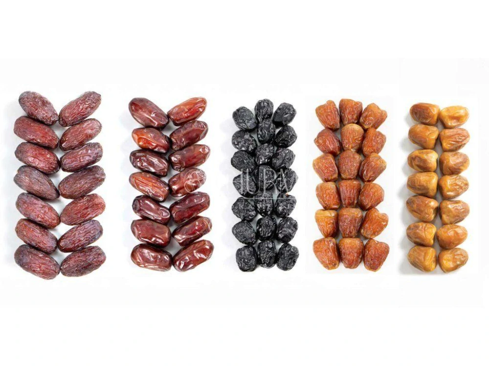 Mix datle Grande 3kg (5 odrůd, sklizeň 2025-2026)
